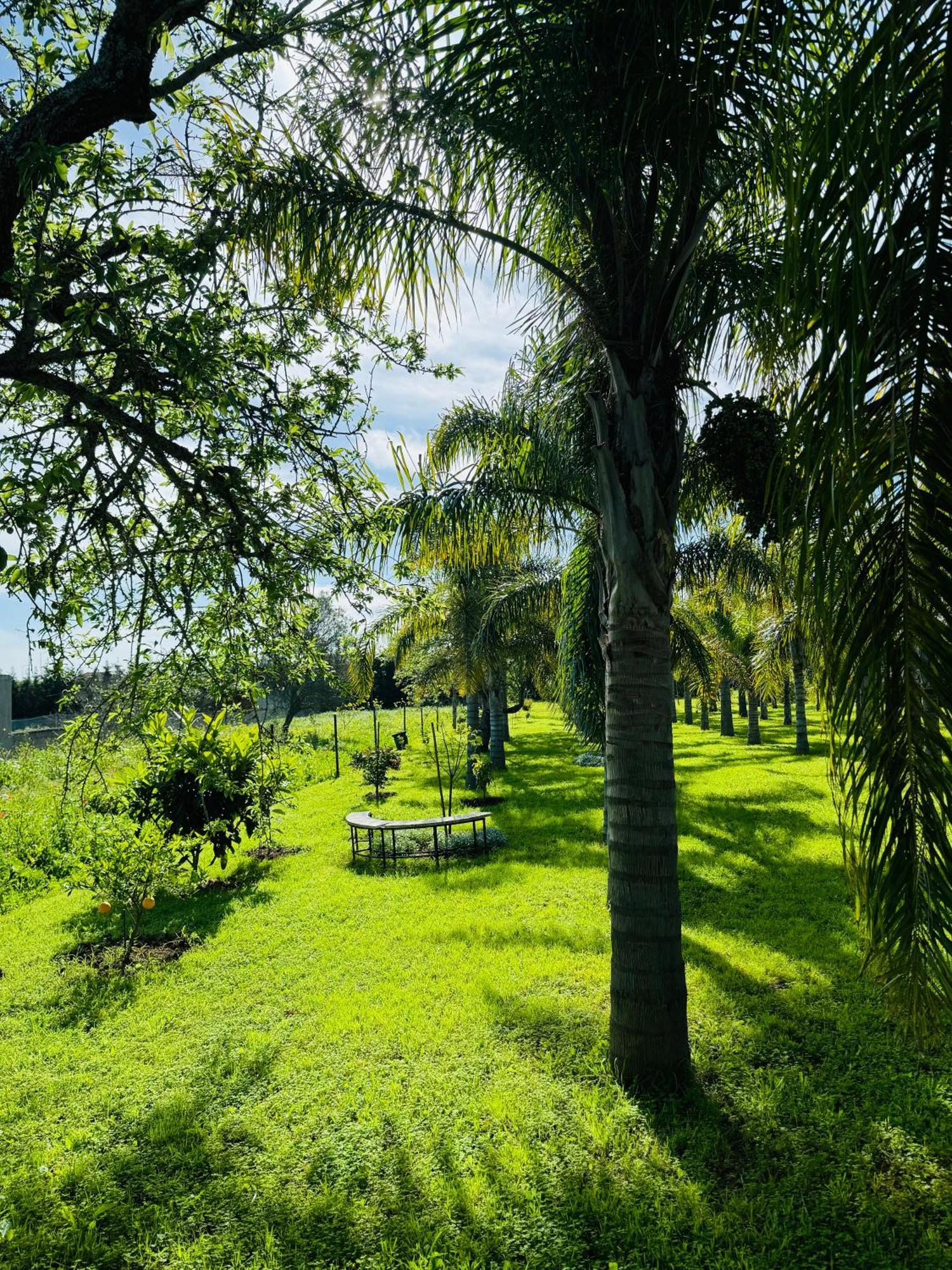 Palm View Guesthouse, Adults Only Luz Dış mekan fotoğraf
